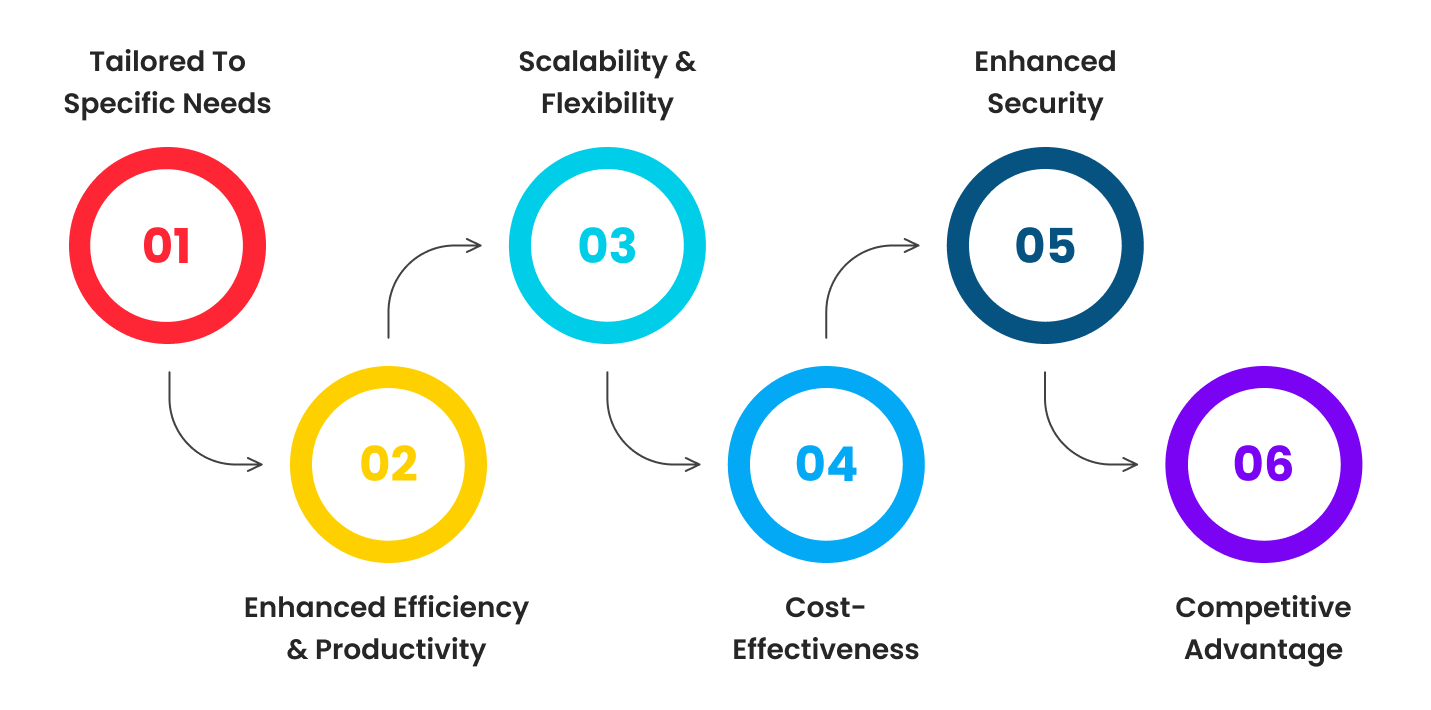 Benefits of Custom Software Development